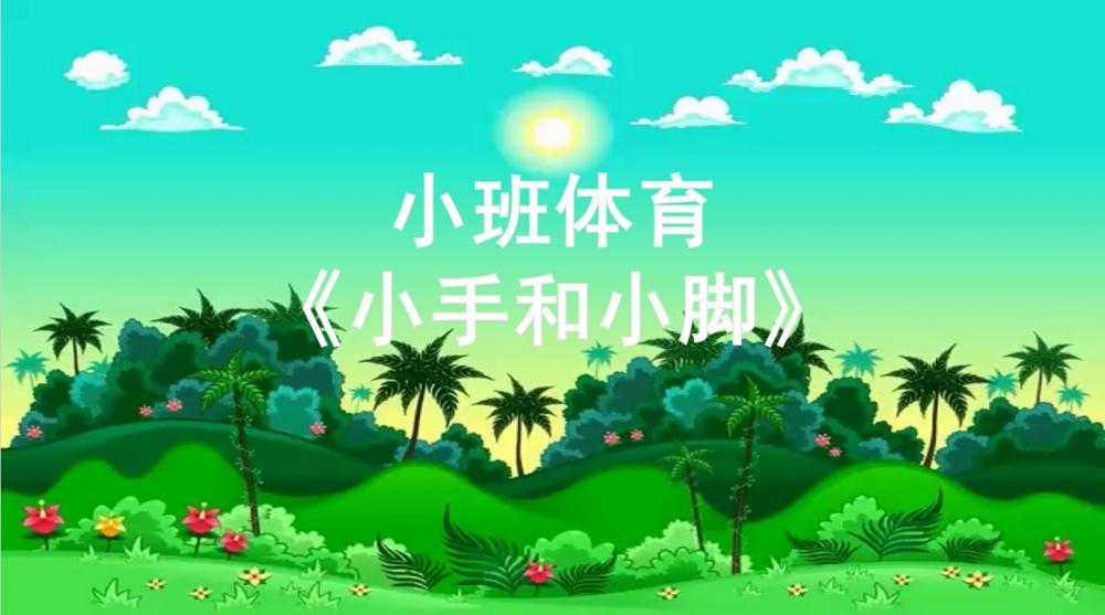 小班体育 《小手和小脚》：PPT+教案+视频+反思+分析+观后感