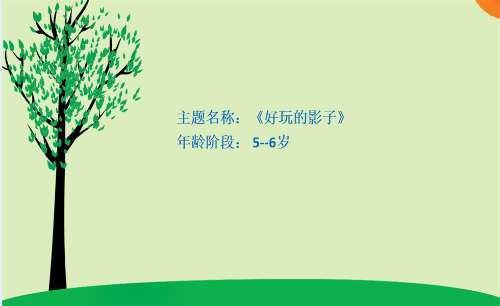 大班科学《好玩的影子》PPT+教案+视频+反思