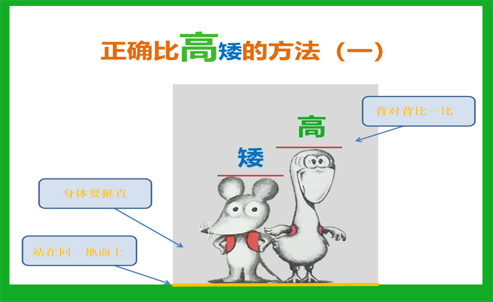 小班科学《鼠小弟比高矮》PPT+教案+视频+反思